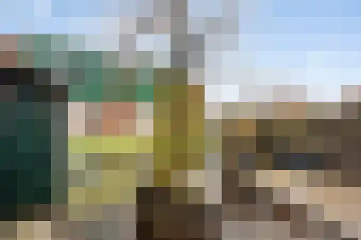 Makelaar 33 Assendelft thumbnail 23