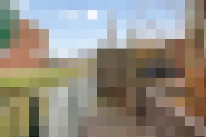 Makelaar 33 Assendelft thumbnail 24