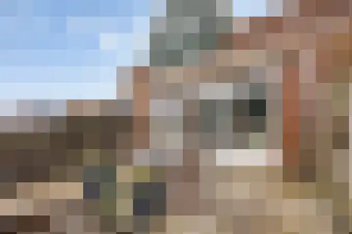 Makelaar 33 Assendelft thumbnail 25