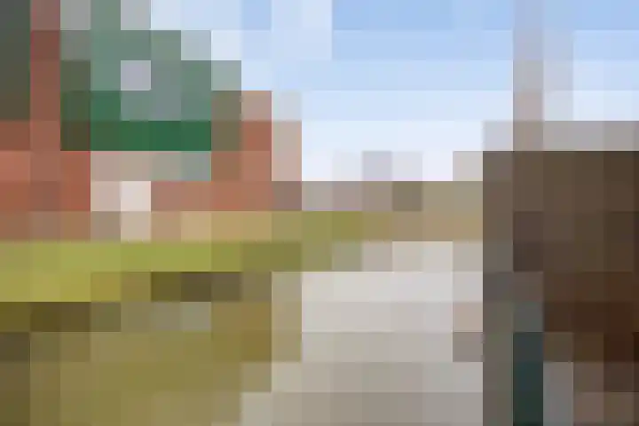 Makelaar 33 Assendelft thumbnail 26