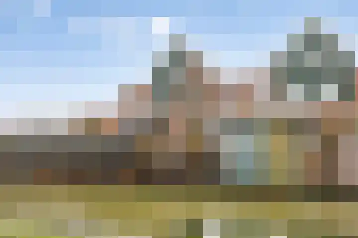 Makelaar 33 Assendelft thumbnail 27