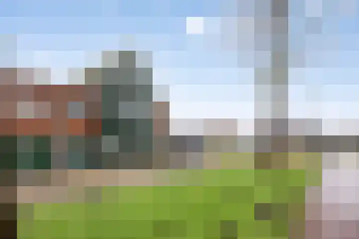 Makelaar 33 Assendelft thumbnail 28