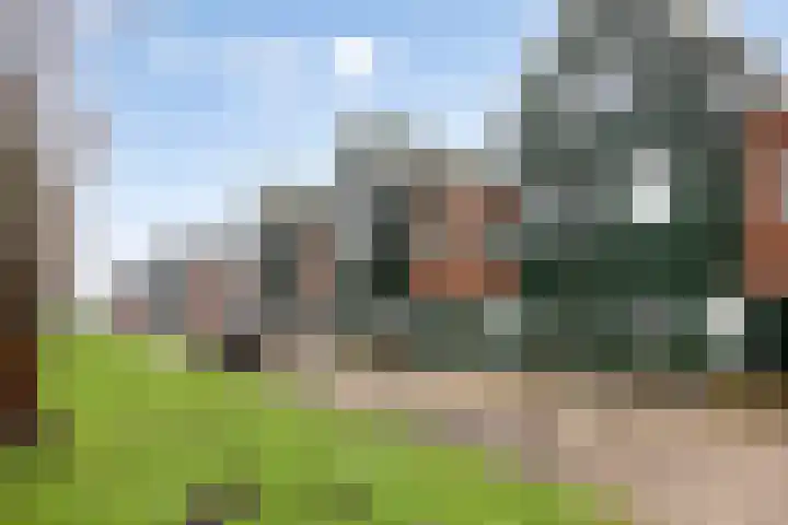 Makelaar 33 Assendelft thumbnail 29