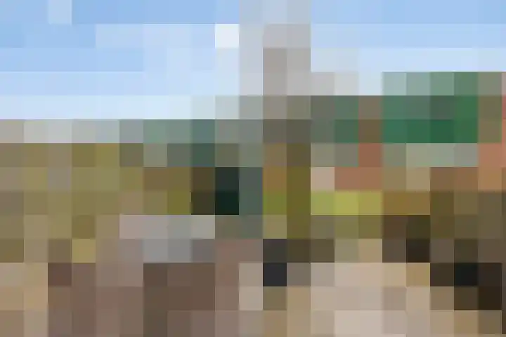 Makelaar 33 Assendelft thumbnail 4
