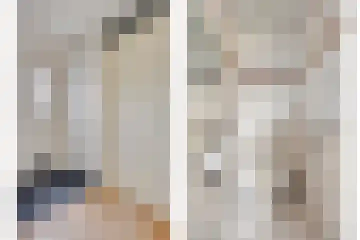 Makelaar 33 Assendelft thumbnail 5