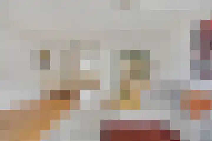 Makelaar 33 Assendelft thumbnail 7