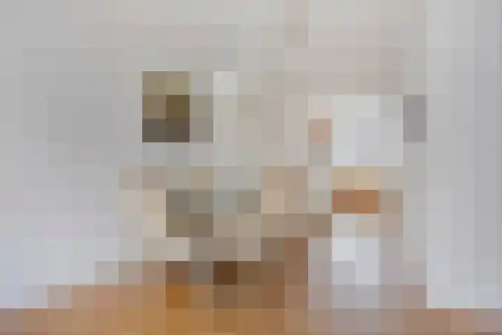 Makelaar 33 Assendelft thumbnail 8
