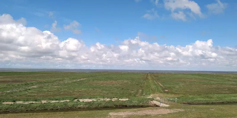 Kantoor foto van Makelaardij Klavertje Vier. Woongeluk begint hier!