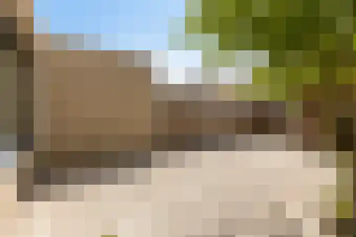 Screenshot van de website van www.mid-fryslan.nl