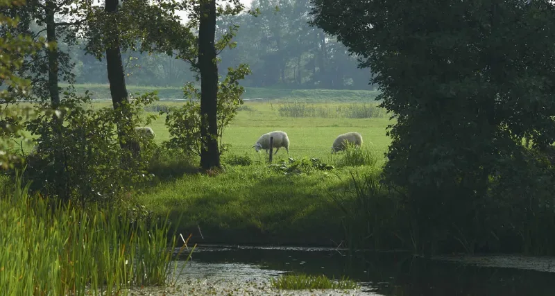 Kantoor foto van Makelaardij Th. van der Laan