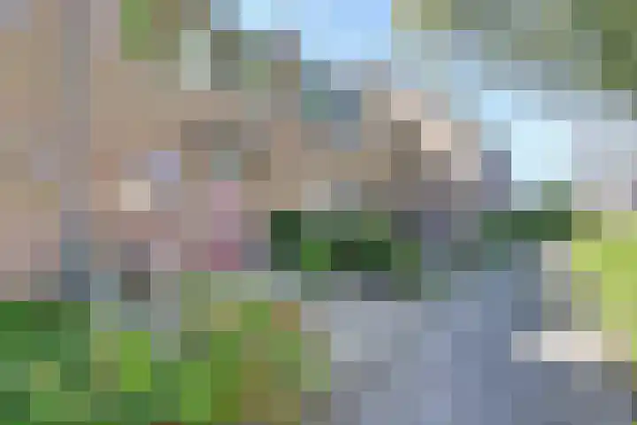 Team foto van Makelaardij van der Wier