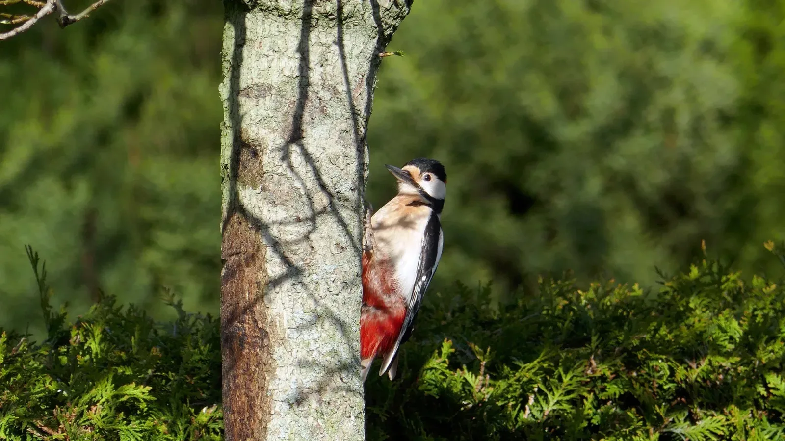 Mannschaftsfoto von Makelaardij Van Meerveld Burger