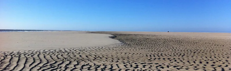 Photo d'équipe de Makelaardij Visser Vlieland B.V.