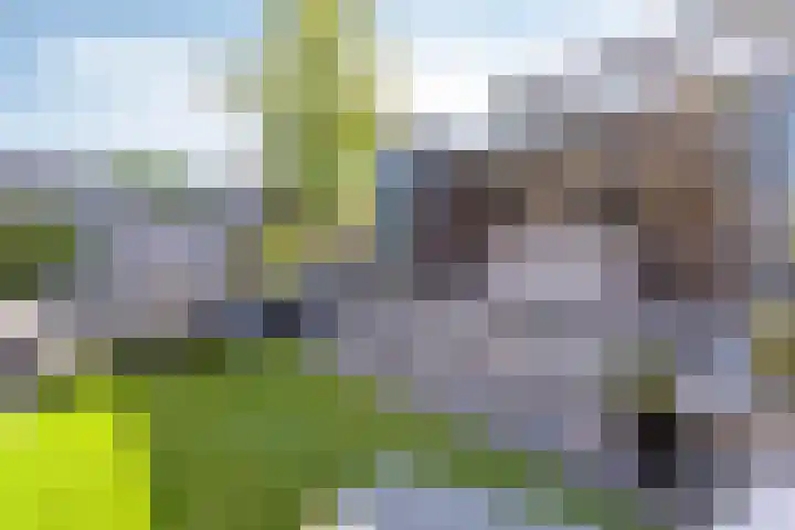 Makkesstraat 18 Purmerend thumbnail 24