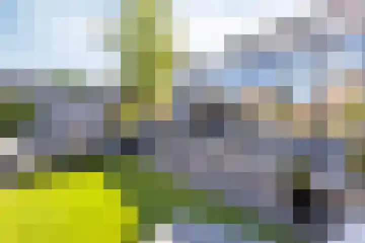 Makkesstraat 18 Purmerend thumbnail 25