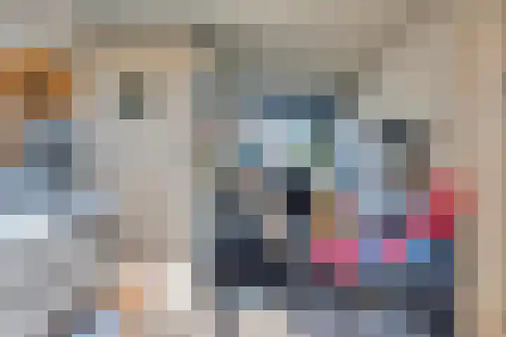 Makkesstraat 18 Purmerend thumbnail 37