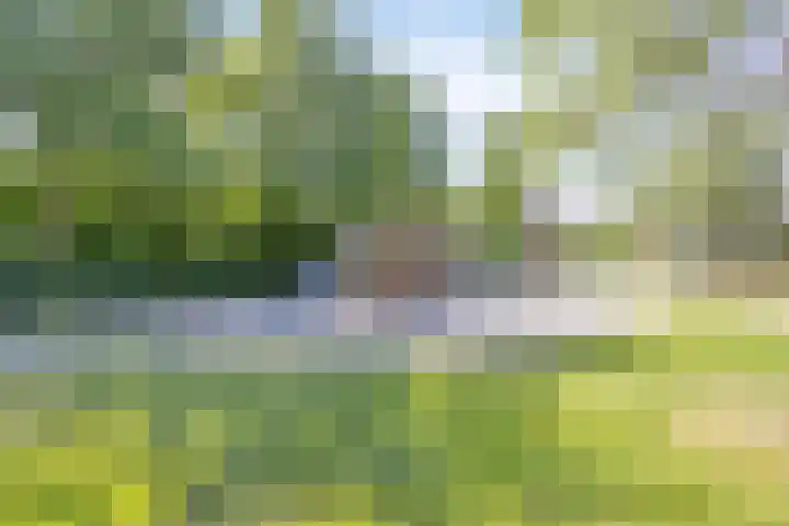 Makkesstraat 18 Purmerend thumbnail 44