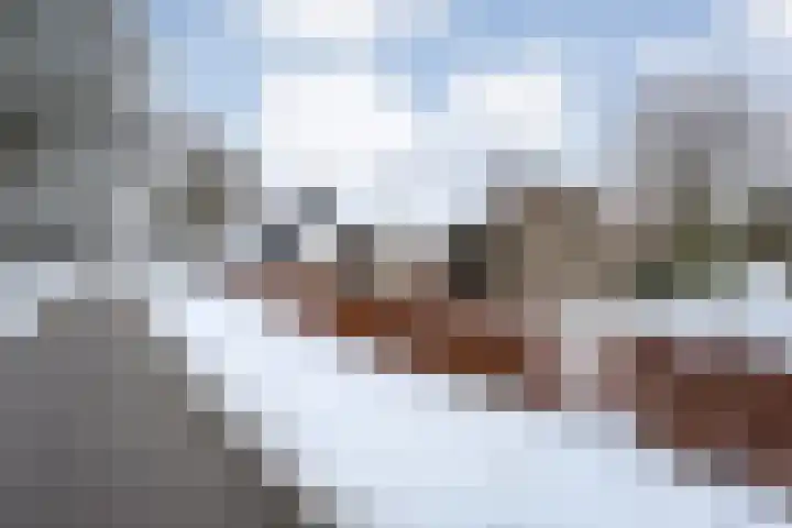 Makkum 28 Beilen thumbnail 41