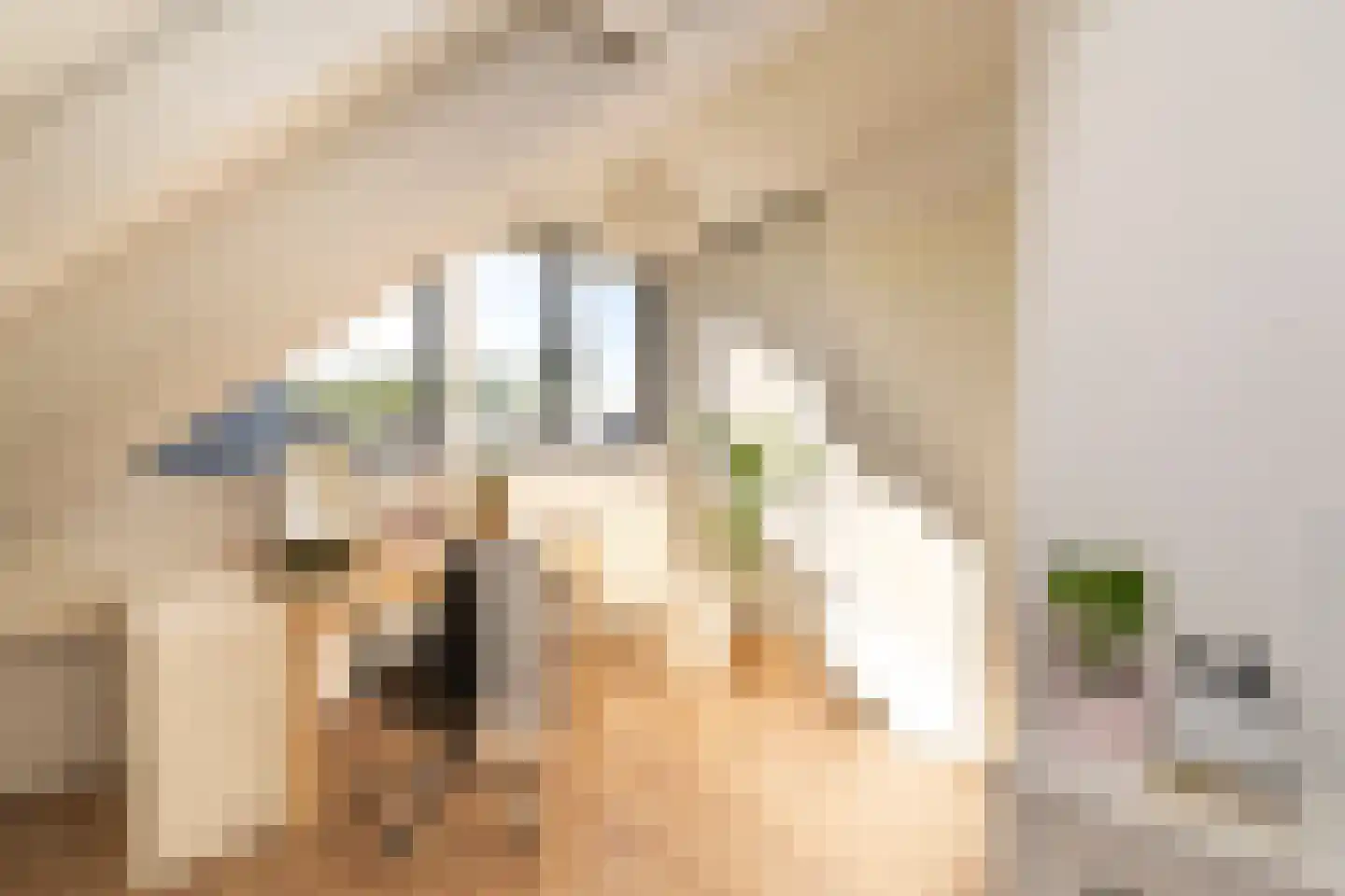 Makkumplein 23 Tilburg thumbnail 44