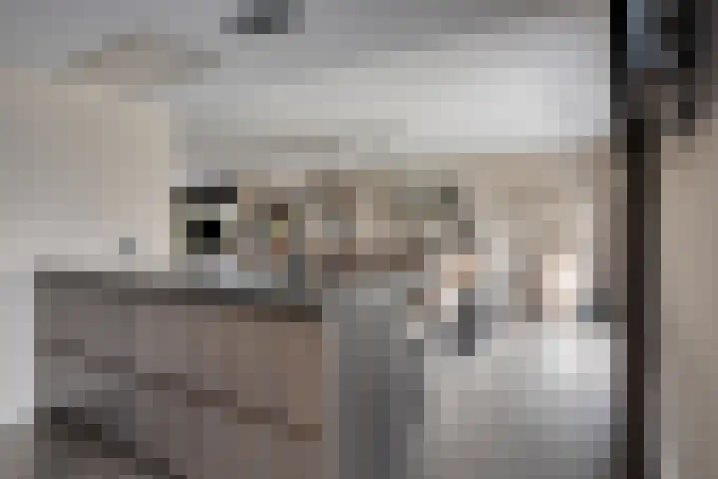 Makkumplein 4 Tilburg thumbnail 19