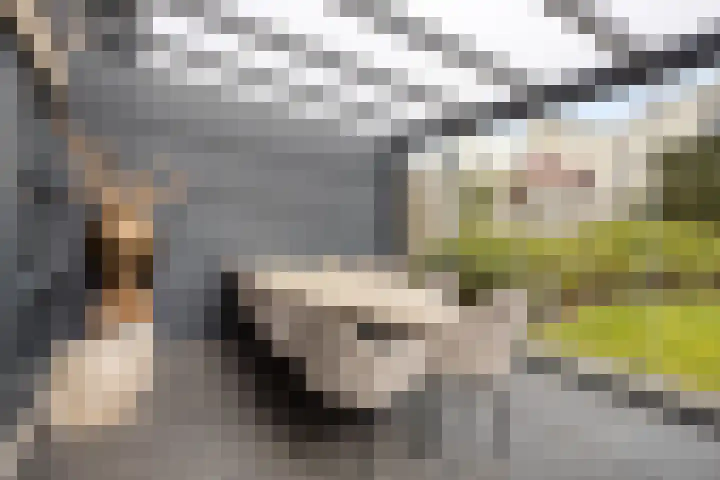 Makkumplein 4 Tilburg thumbnail 28