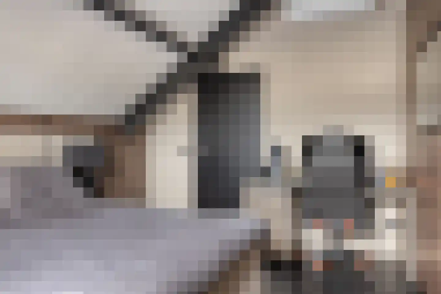 Makkumplein 4 Tilburg thumbnail 54