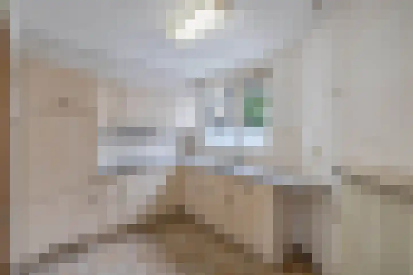 Makkumstraat 28 Emmeloord thumbnail 12