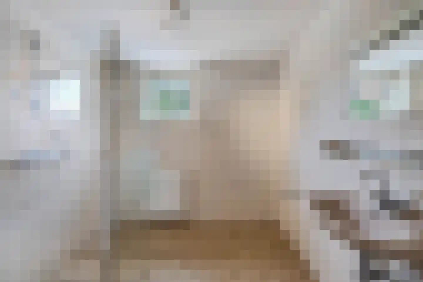 Makkumstraat 28 Emmeloord thumbnail 29