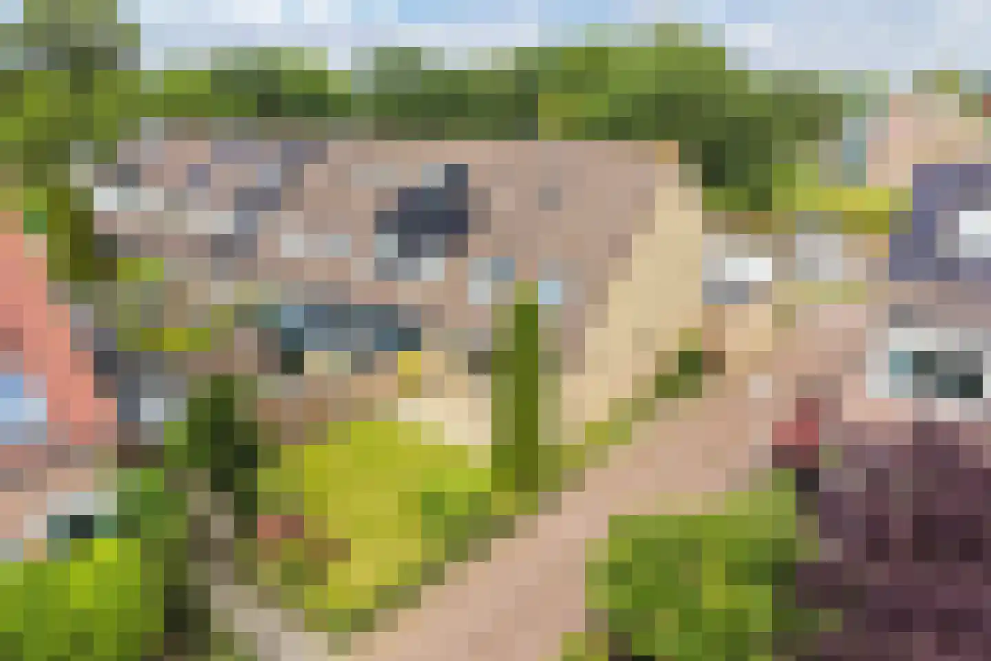 Makkumstraat 28 Emmeloord thumbnail 4