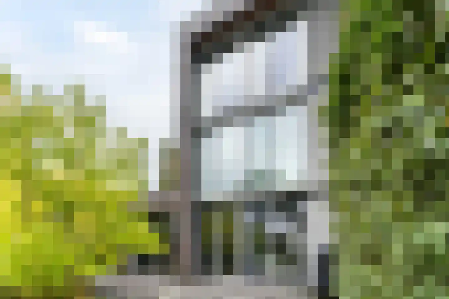 Makoré 37 Dordrecht thumbnail 43