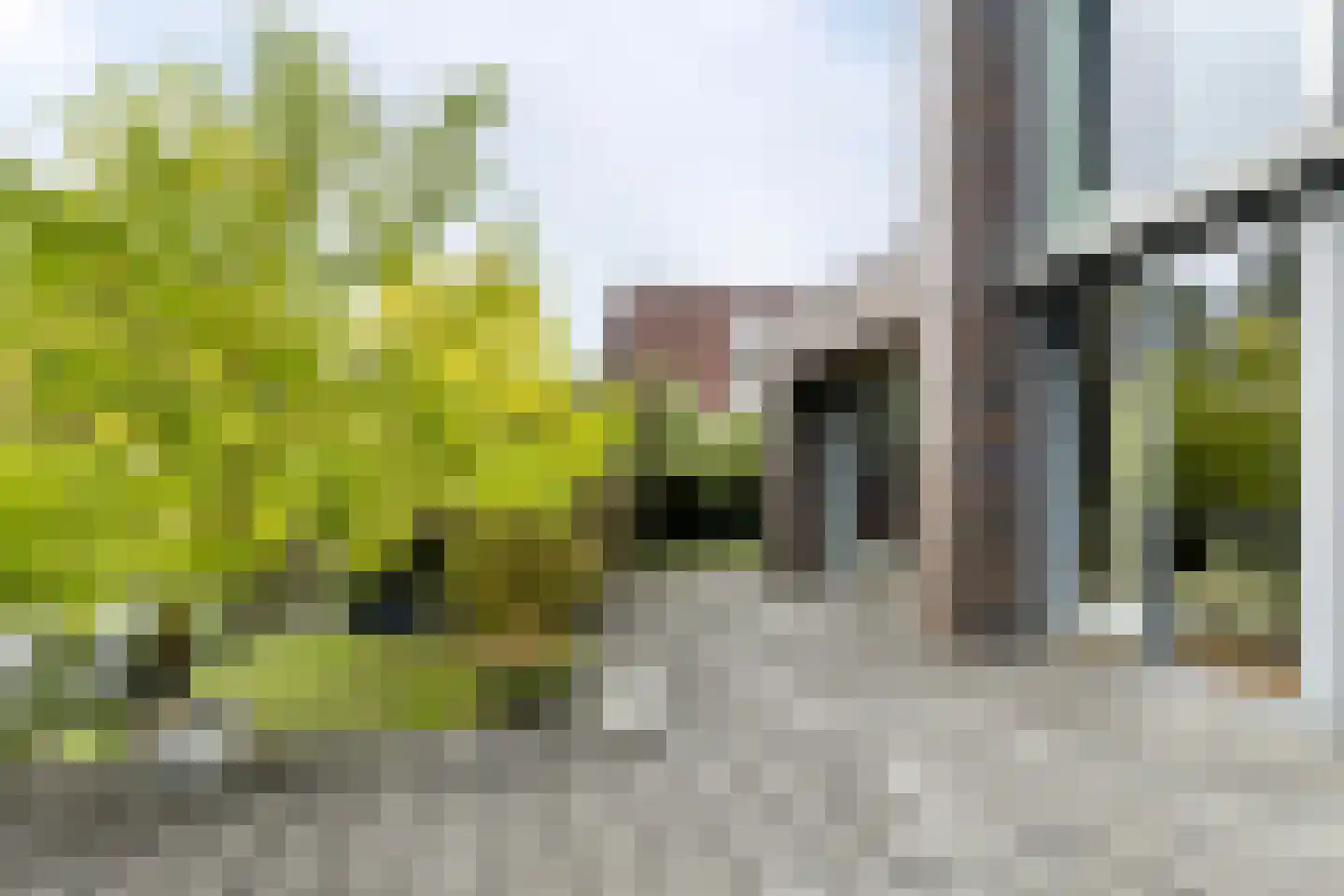Makoré 37 Dordrecht thumbnail 46