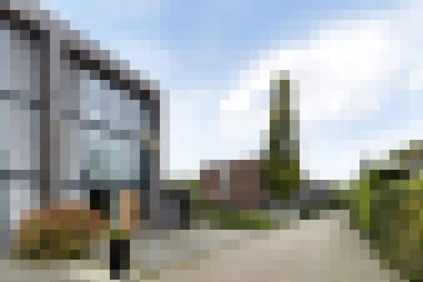 Makoré 37 Dordrecht thumbnail 6