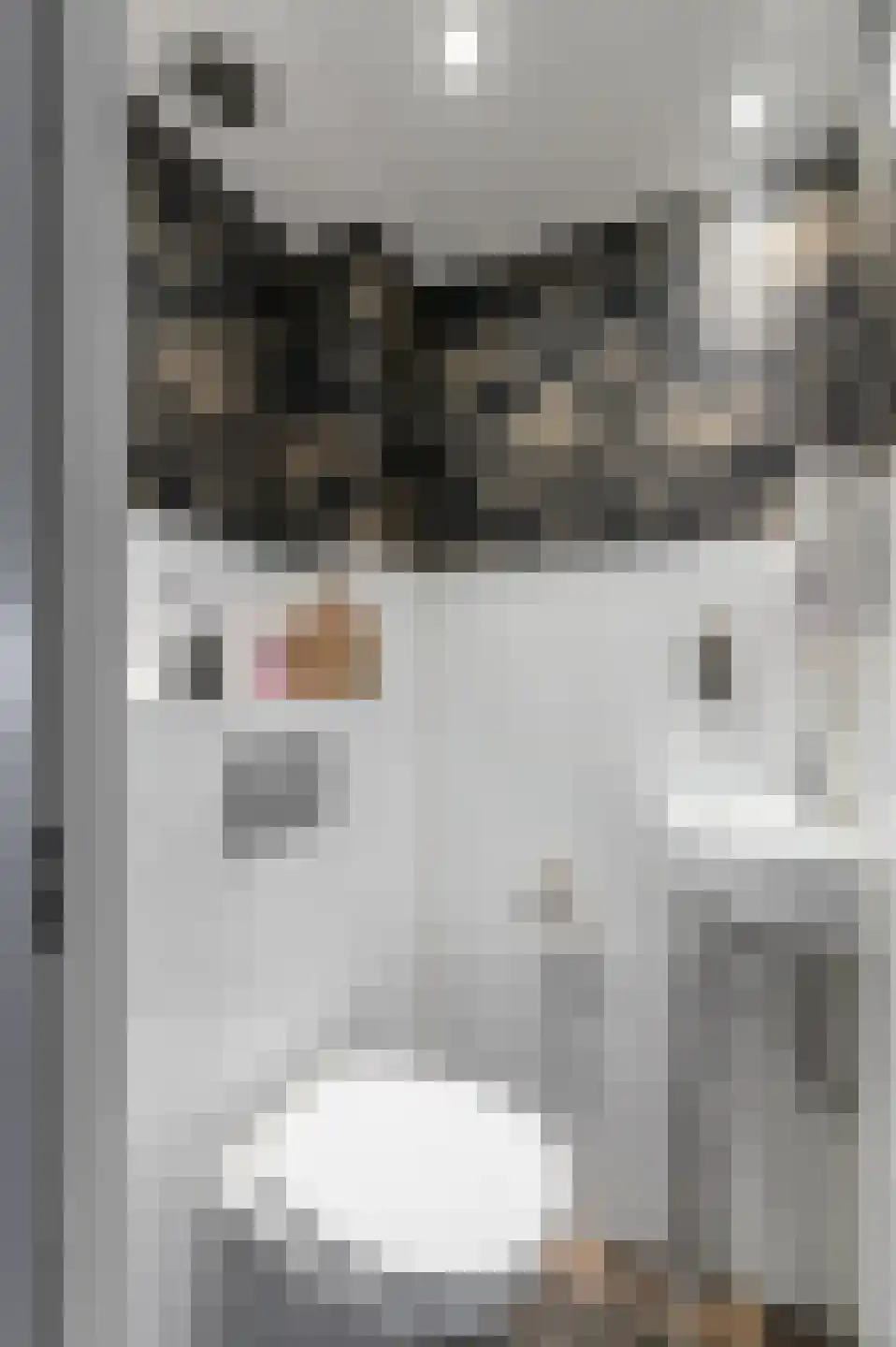 Makreelstraat 17 Almere thumbnail 6