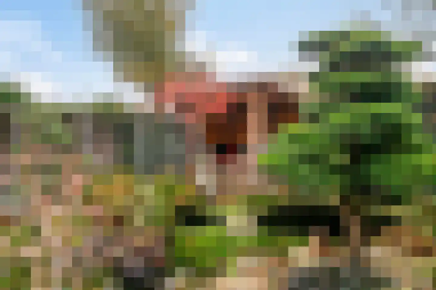Makreelstraat 7 Helmond thumbnail 36