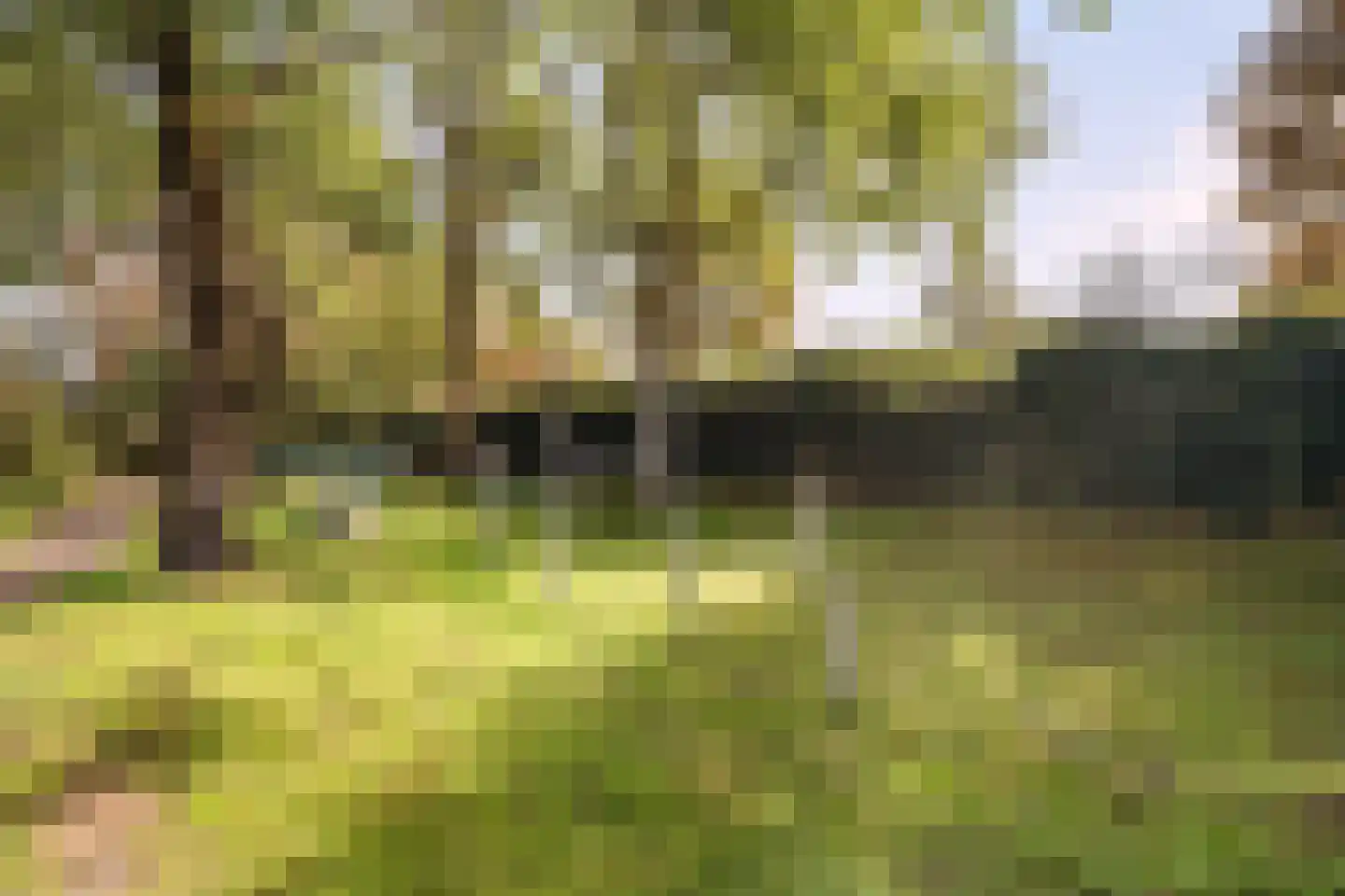 Makreelstraat 89 Helmond thumbnail 6