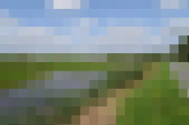 Malachiet 23 Mijdrecht thumbnail 26