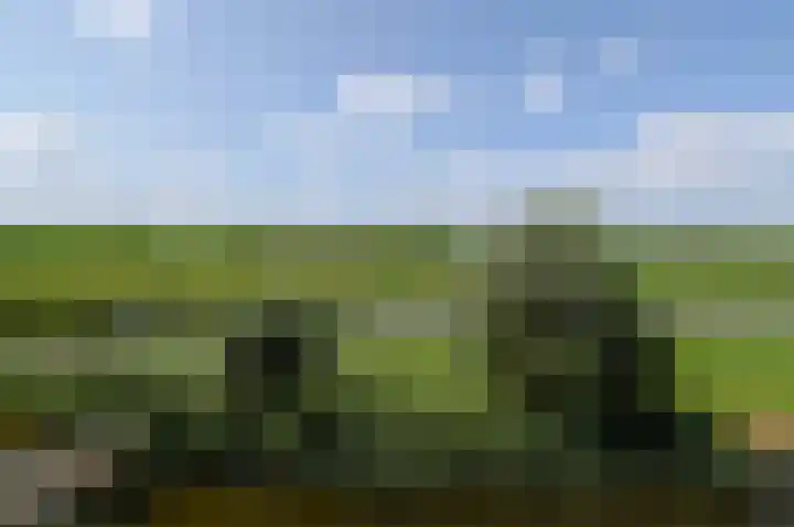 Malachiet 23 Mijdrecht thumbnail 27