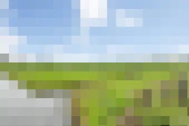Malachiet 32 Mijdrecht thumbnail 30