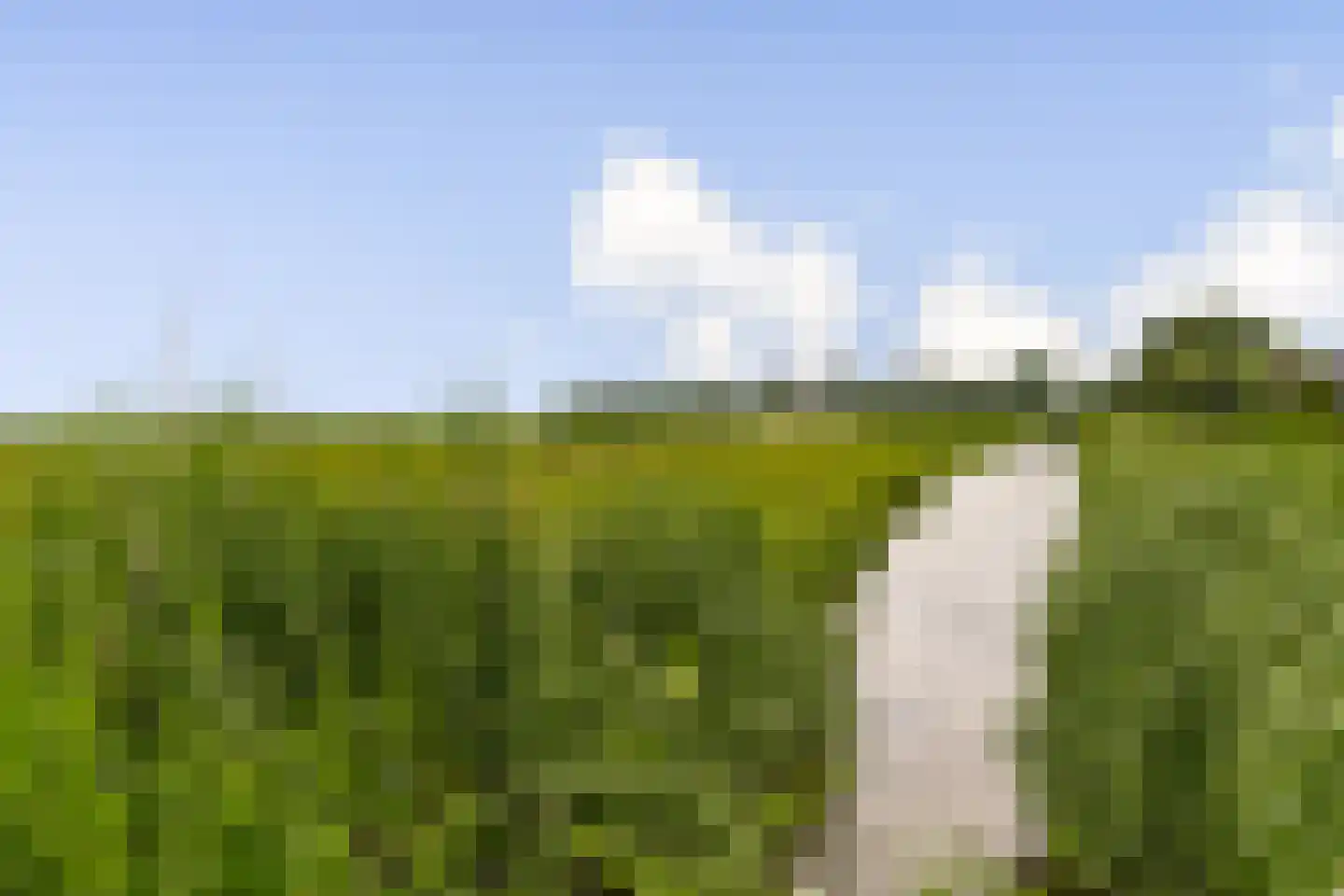 Malachiet 4 Mijdrecht thumbnail 23