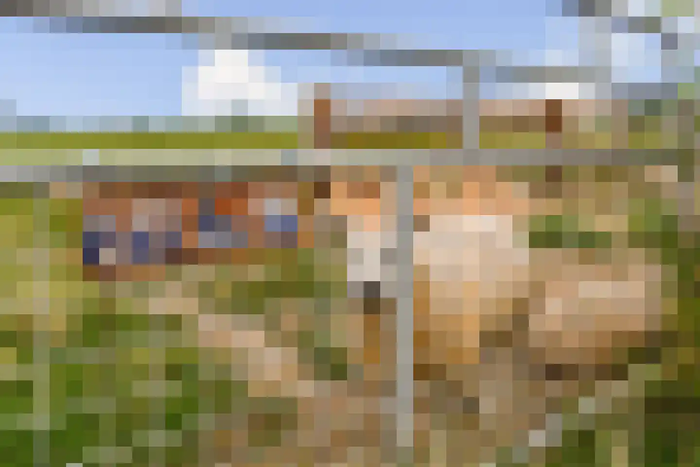 Malachiet 4 Mijdrecht thumbnail 29