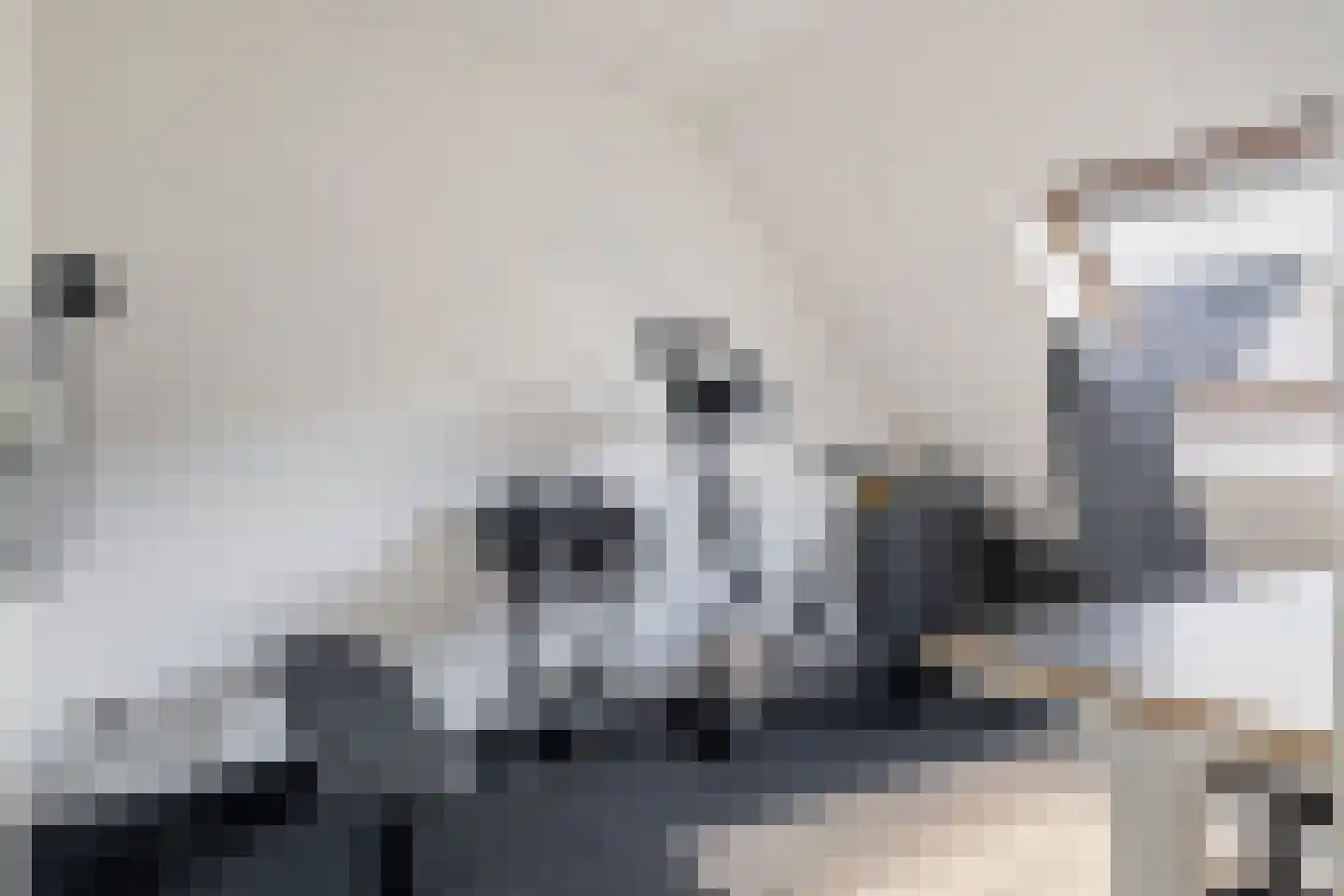 Malachietdreef 12 Emmen thumbnail 23