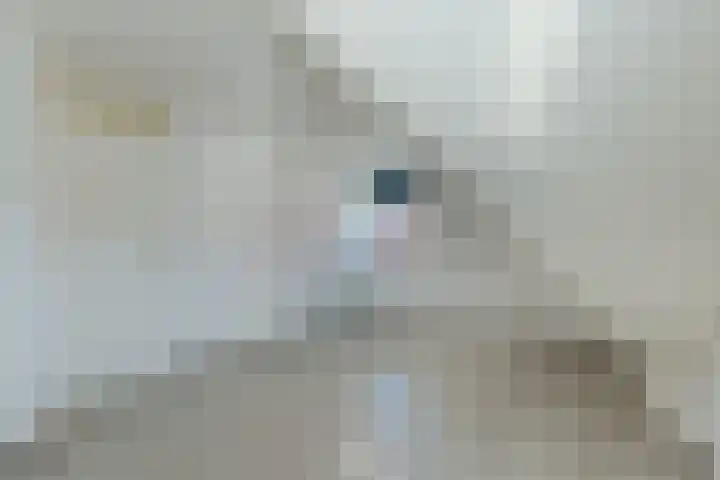 Malachietdreef 28 Emmen thumbnail 23