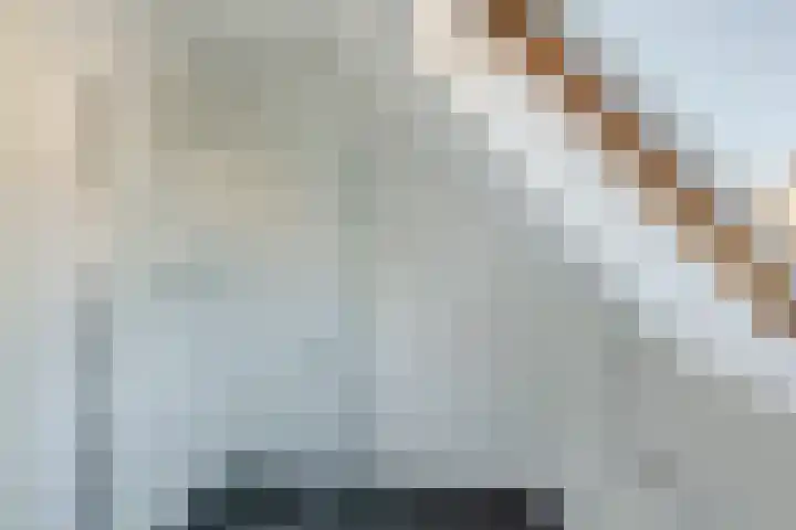 Malachietdreef 28 Emmen thumbnail 29