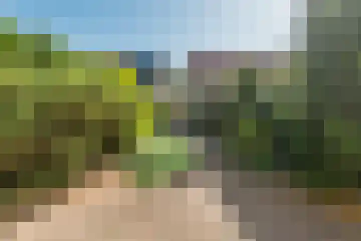 Malachietdreef 28 Emmen thumbnail 34