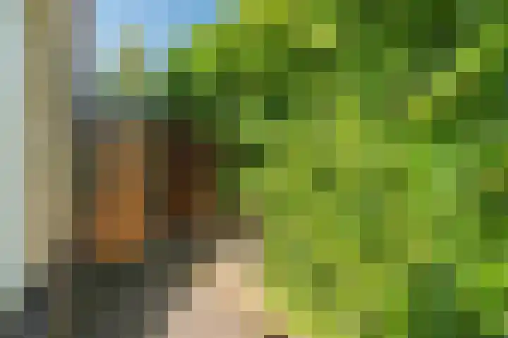 Malachietdreef 28 Emmen thumbnail 37