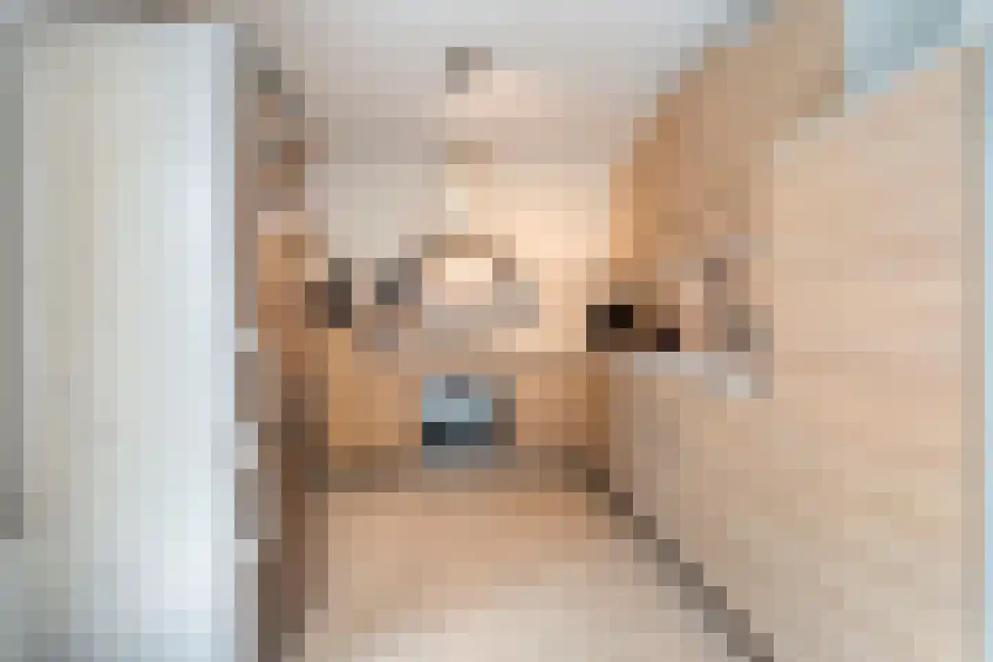 Malachietdreef 35 Emmen thumbnail 19