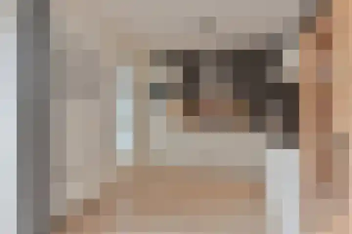 Malachietdreef 43 Emmen thumbnail 24