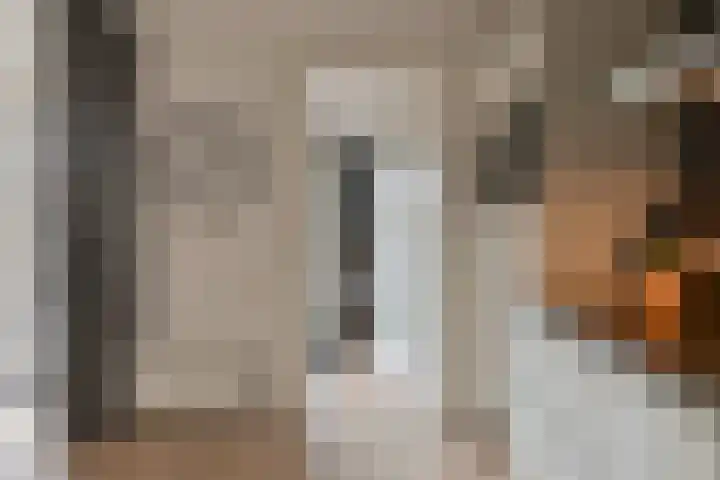 Malachietdreef 43 Emmen thumbnail 28