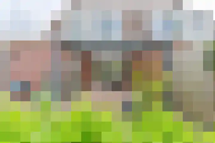Malachietdreef 43 Emmen thumbnail 60