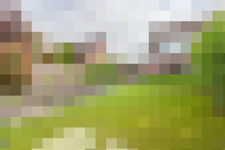 Malachietdreef 43 Emmen thumbnail 64
